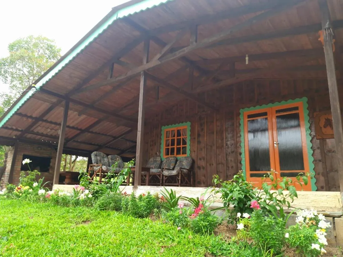 Hébergement de vacances Sitio Recanto Da Guarda - Cabana Araucaria Bom Retiro